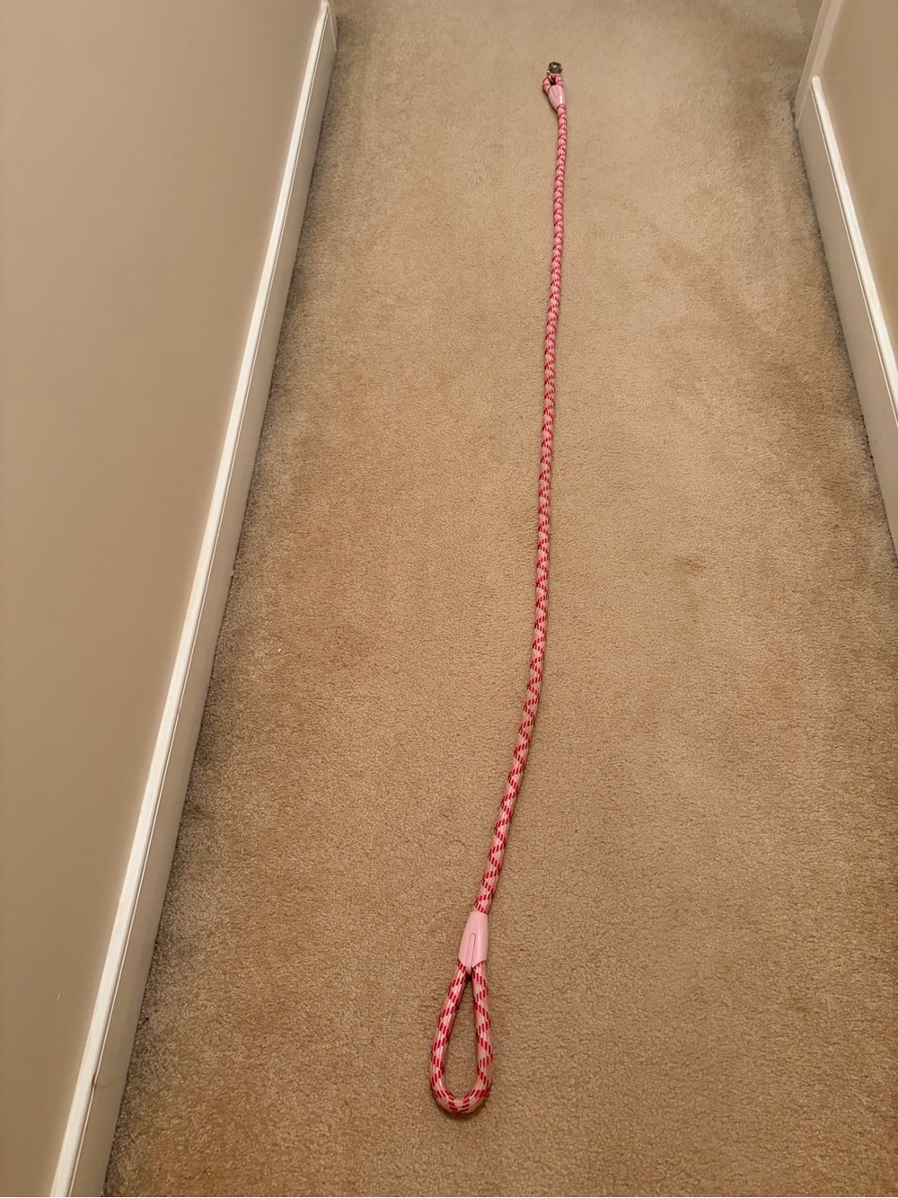 Dog Rope Leash - Picture 4 of 4
